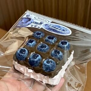 313TFX Super Popular Strawberry Series Squishies 🍓✨TFX・超人気いちごシリーズスクイーズ 🍓✨